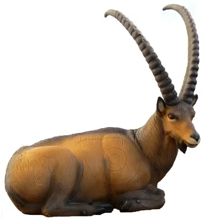 SRT – CABRA IBEX ACOSTADO